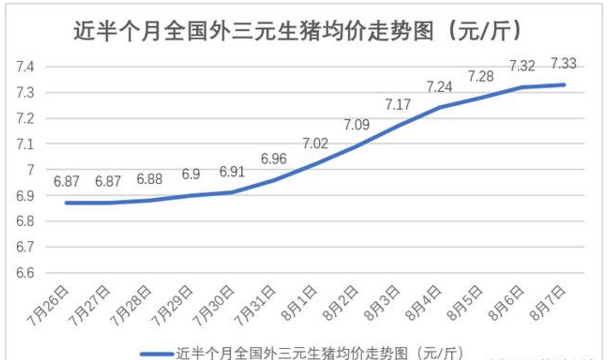 今日豬價(jià)專家預(yù)測(cè)，科技與生活的融合分析