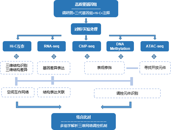 新澳門一肖一特一中。高效計劃實施解析。,深入探討方案策略_懸浮版94.702