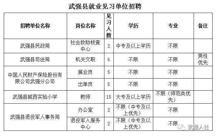 武強最新科技招工信息，科技引領(lǐng)未來，新征程招工啟航