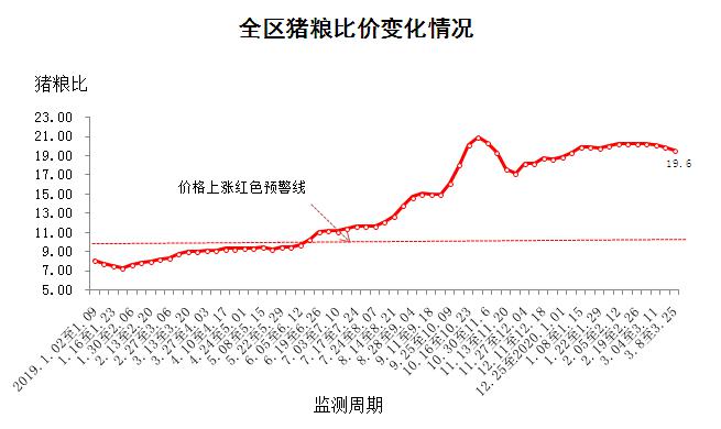 最新豬價行情走勢預測，變化中的機遇與挑戰(zhàn)的自我超越之旅