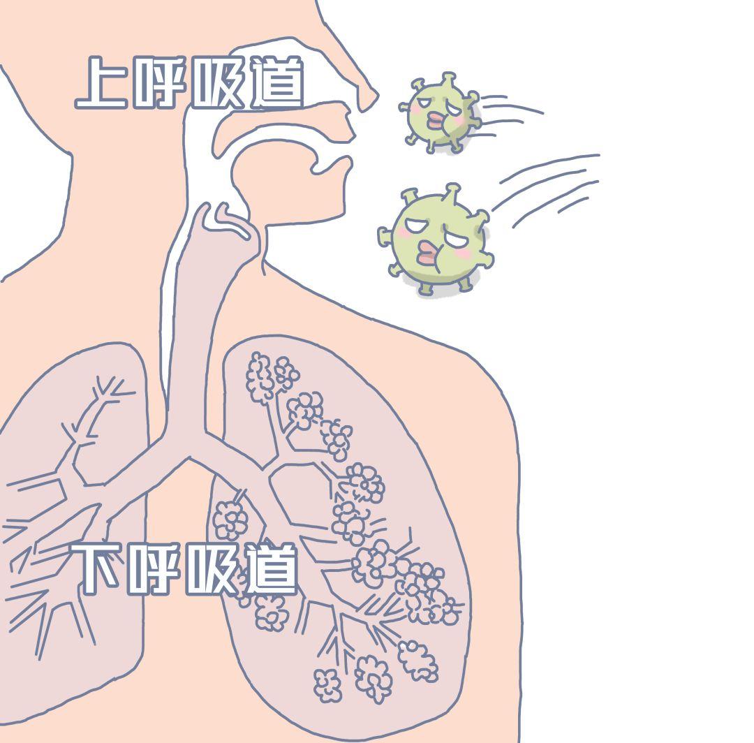 科技賦能下的新肺炎病例最新統(tǒng)計，數(shù)據(jù)見證希望的力量