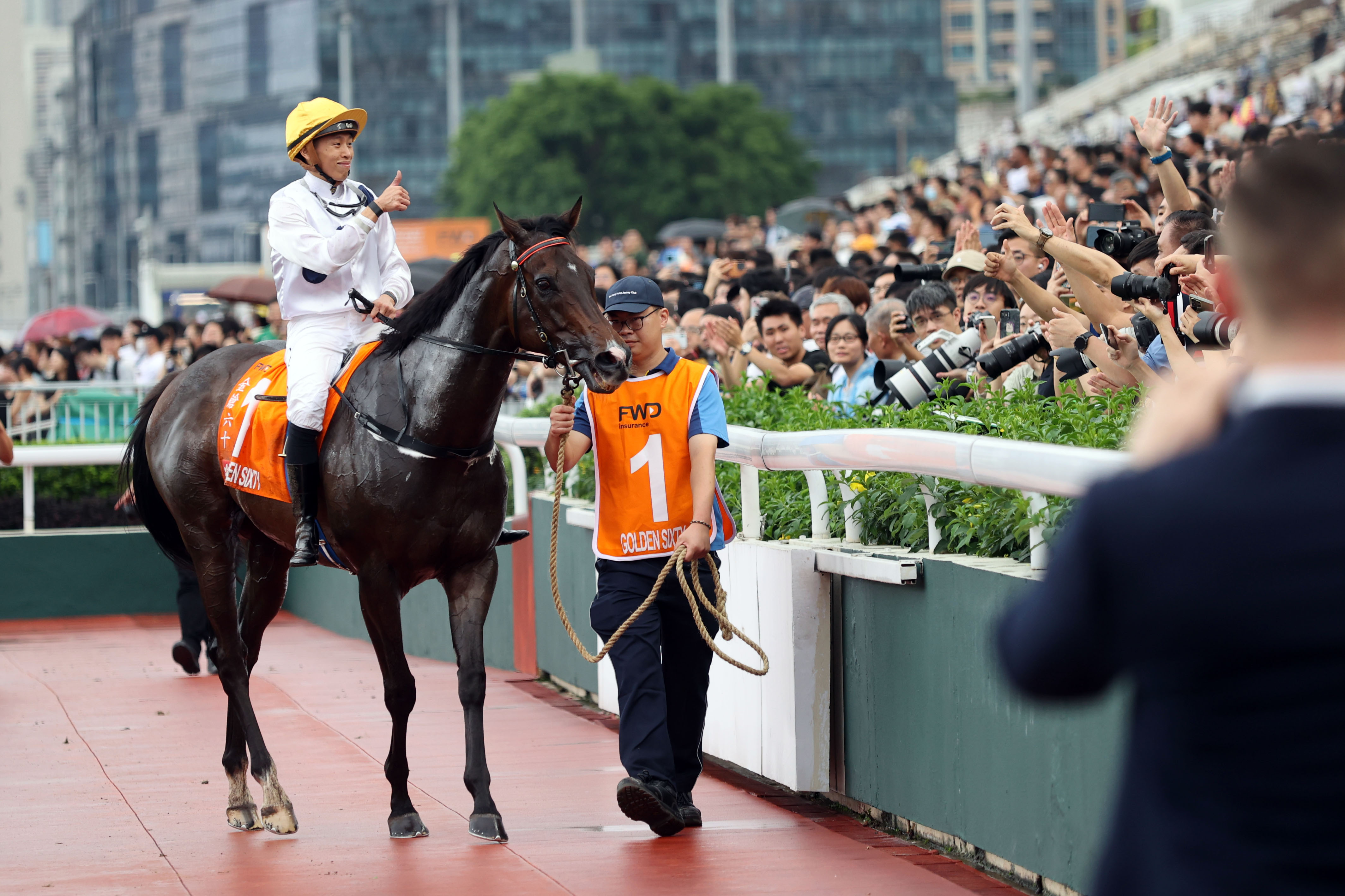 2025香港賽馬全年免費(fèi)資料,快速解答方案設(shè)計(jì)_觸控版62.636