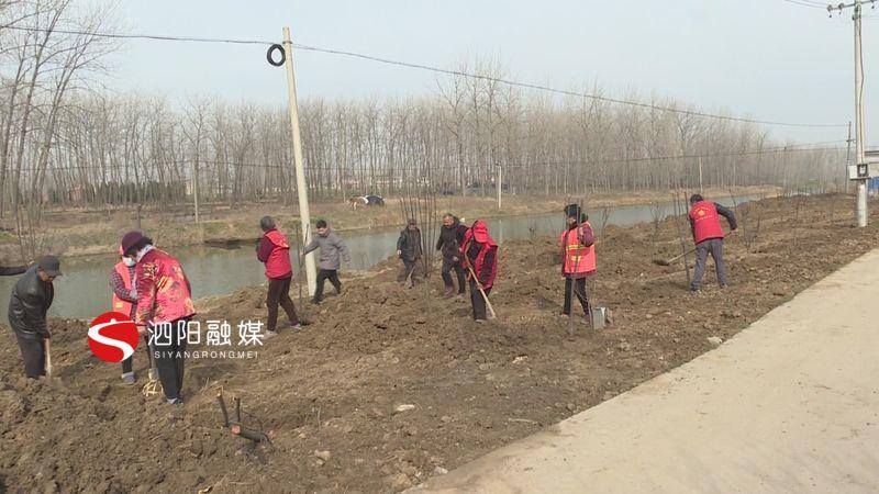 泗陽(yáng)裴圩鎮(zhèn)最新詳解，融入繁榮之地的指南