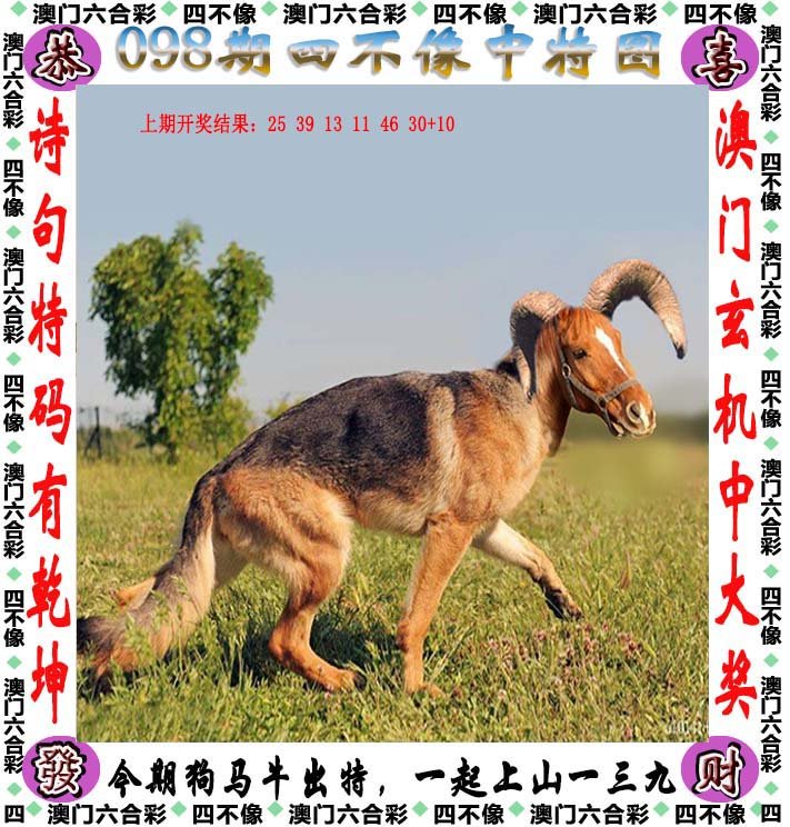 新澳2025今晚開獎(jiǎng)資料四不像,全盤細(xì)明說(shuō)明_教育版62.276