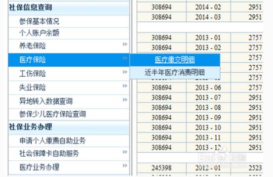 新澳門歷史開獎記錄查詢方法,快速問題解答_萬能版62.333